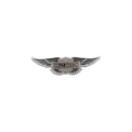 Winged Bar & Shield Logo Pin