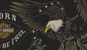 Men's Eagle N' Snake Black T-Shirt